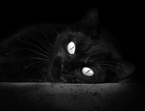 KAIYUN 中国大陆-_特色沙滩运动节：趣味、挑战、娱乐齐聚_，沙滩大型活动项目