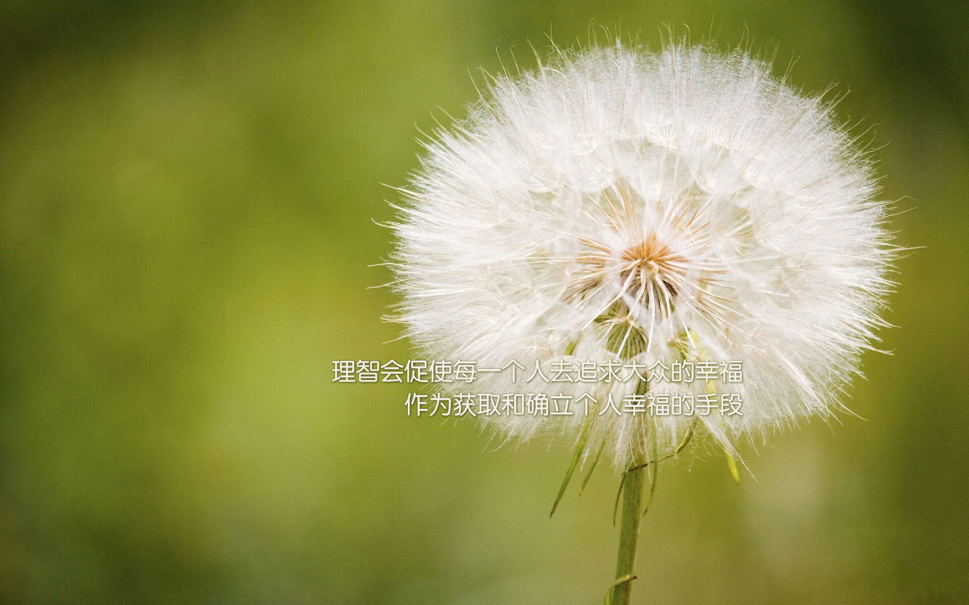 开云官方-“梦想启程”青少年篮球优秀项目在武汉集中展示，2020年青少年篮球比赛