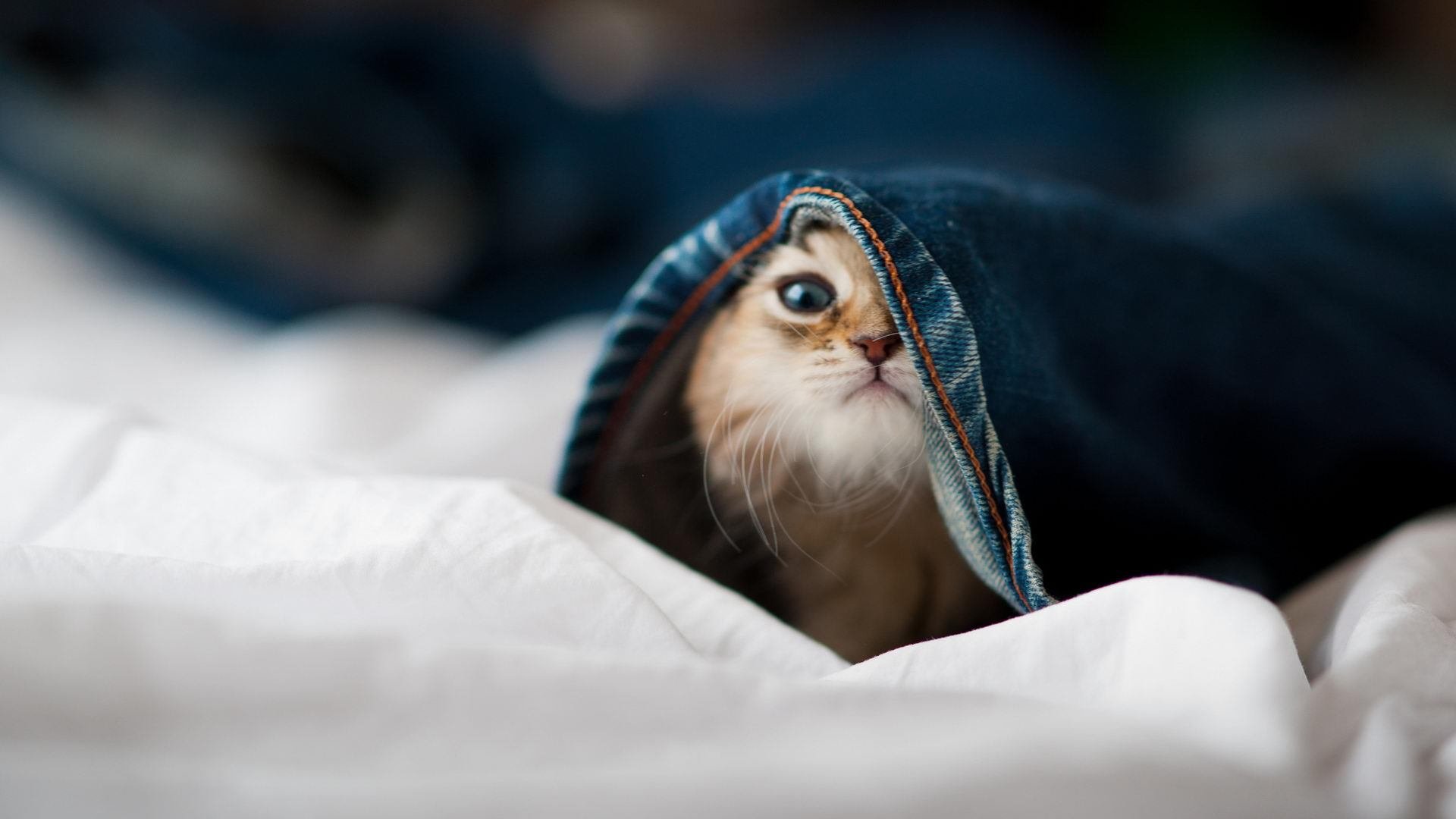 【战术走向未来】借助AI和大数据提前预判开局和变化,未来战术发展趋势