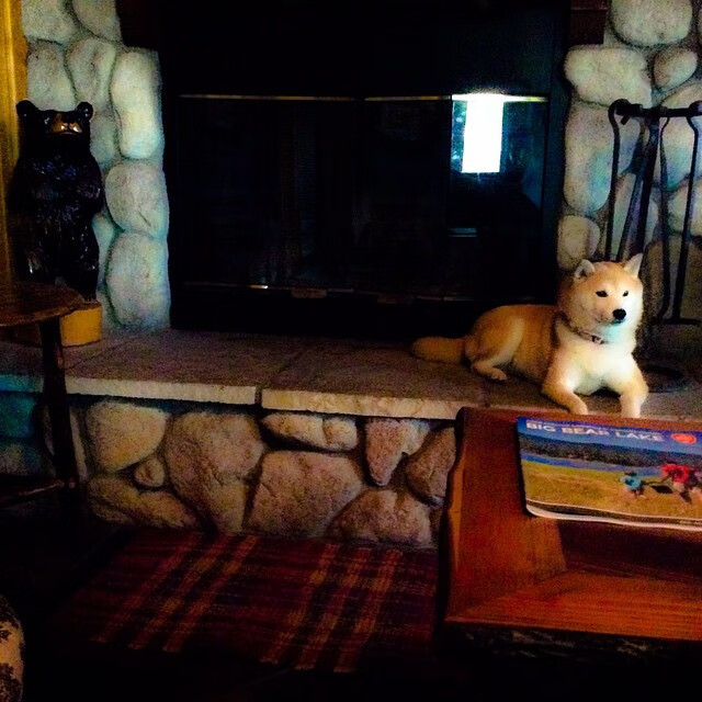 中国男篮备战亚洲杯,热身赛表现亮眼,中国男篮2021亚洲区预选赛