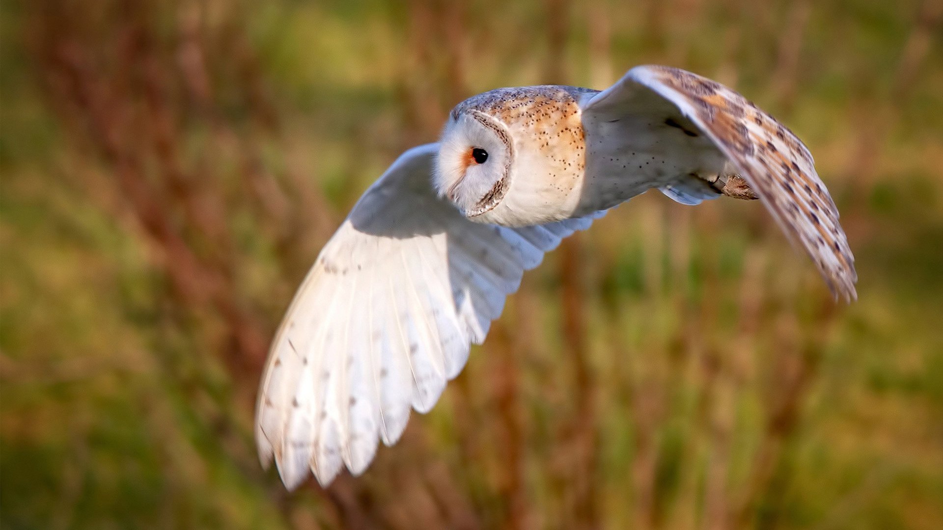 kaiyun开云·官方网站-中国男篮海外热身赛取得宝贵经验，磨合阵容期待佳绩，中国男篮热火