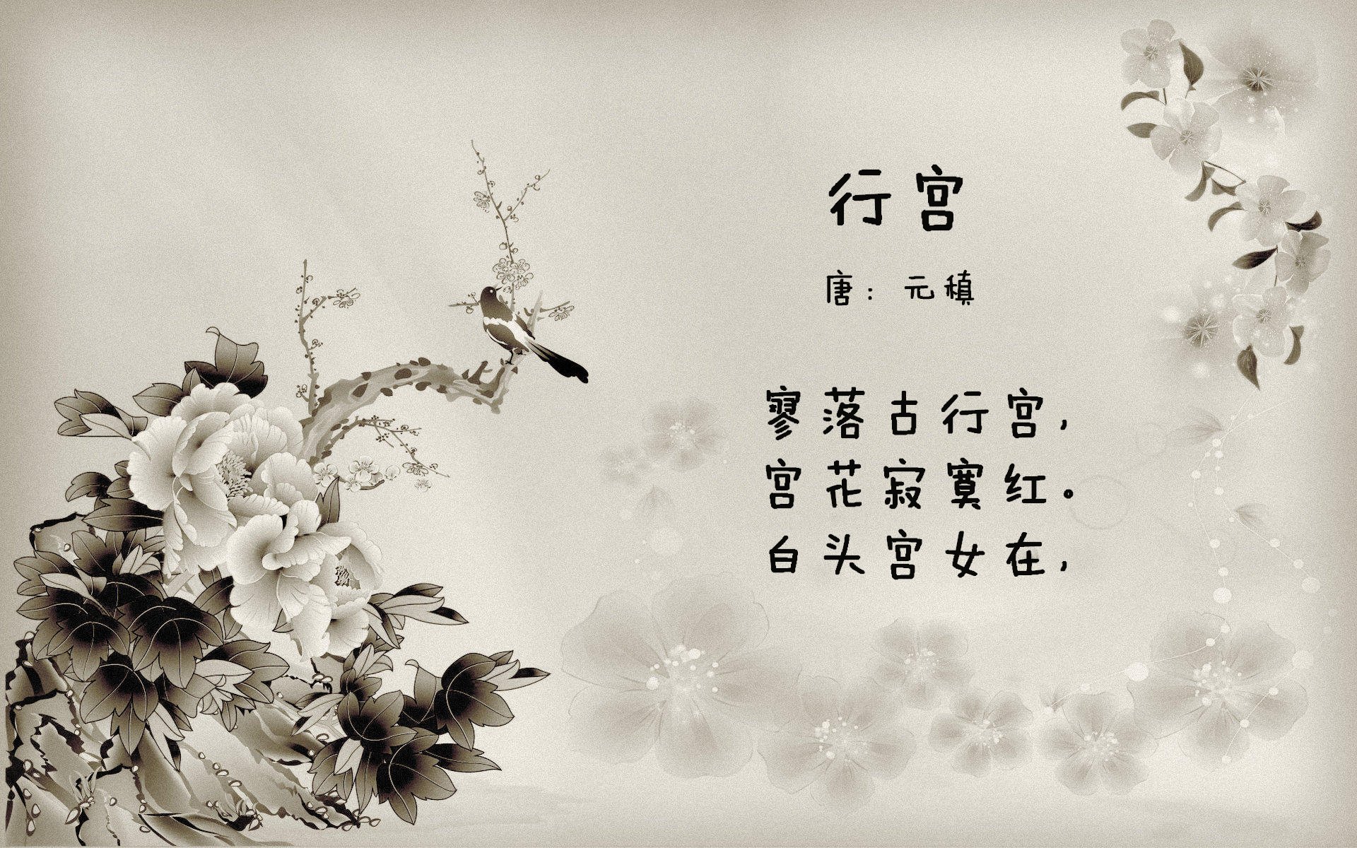 开云官网登录-学校足球“名师+名队+名赛”联动，青训体系逐步完善，学校足球队名字有创意好听