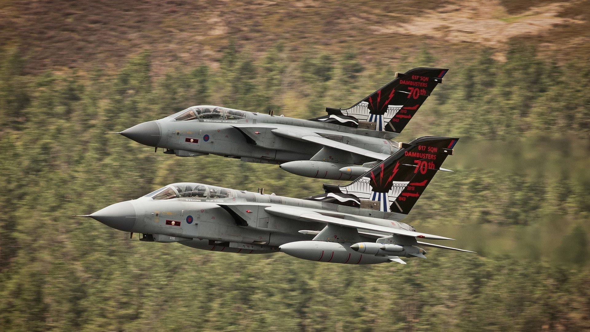 未来新星:潜力无限的青训球员 portr