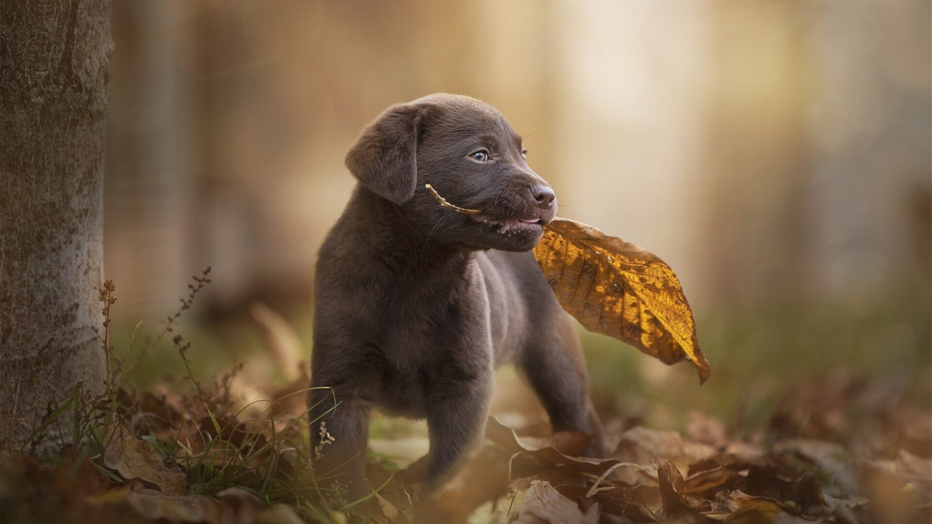 kaiyun开云·官方网站-电竞与金融行业的合作共赢：投资理财，市场拓展，电竞产业与其他产业的融合