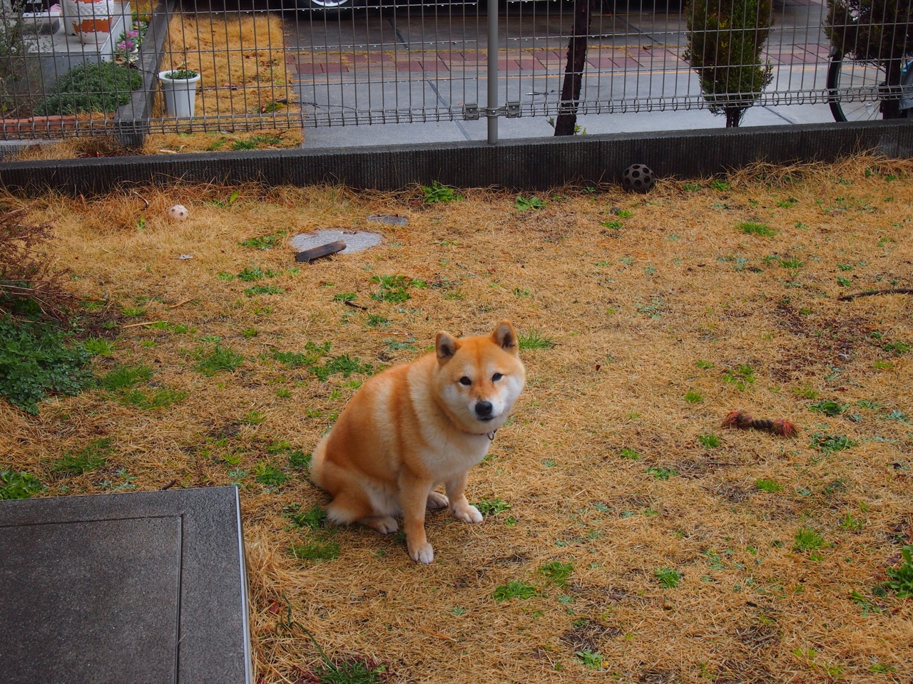 电竞主持的魅力:控场能力与互动技巧,电竞主持人有哪些看法