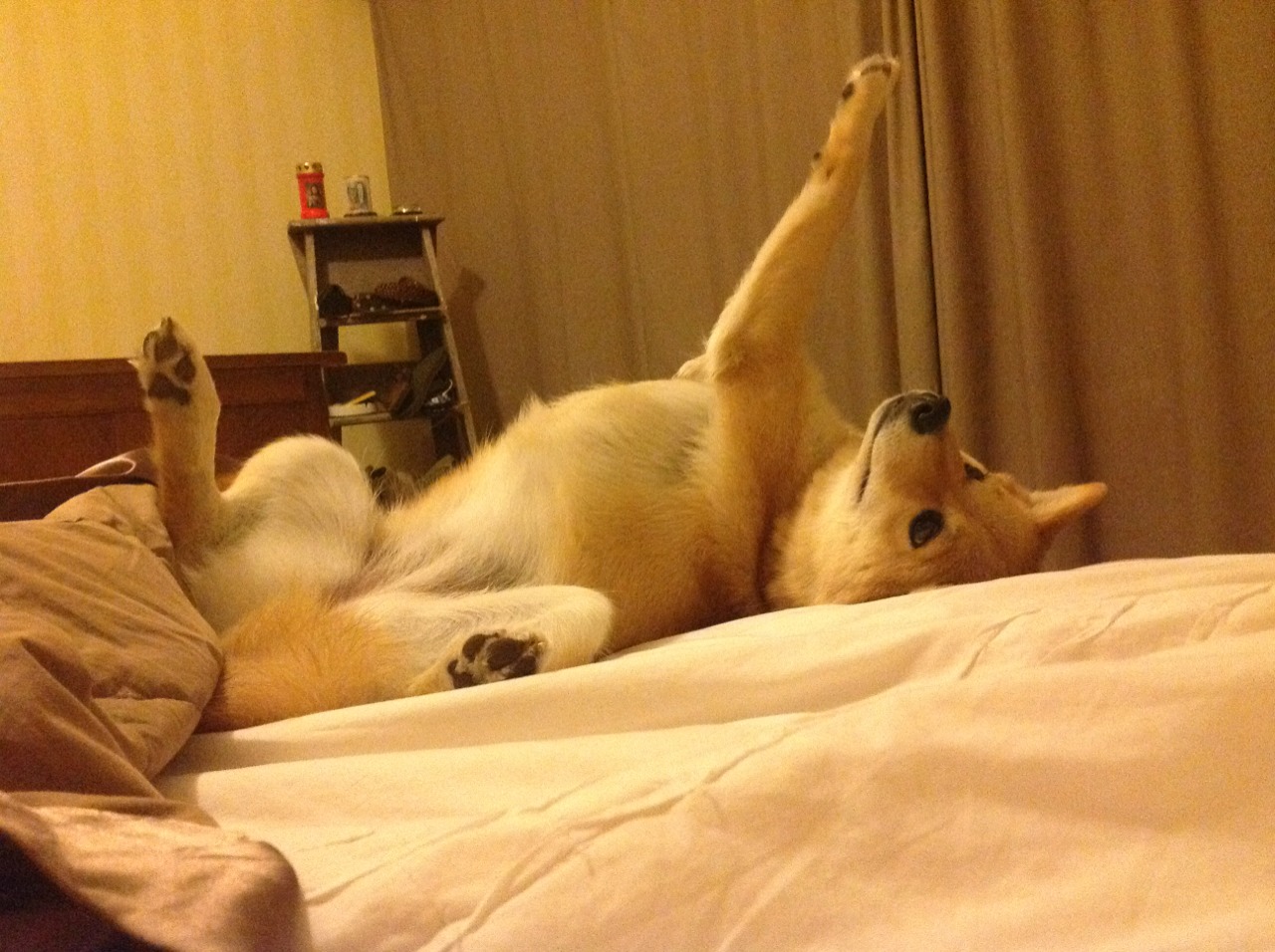 开云中国-KPL战队训练营全力备战，kpl战队训练赛怎么打的