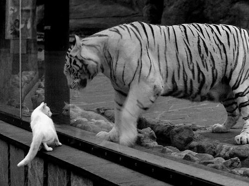 开云·体育官网-亚洲杯卫冕冠军日本遇强敌伊朗，备战紧张，亚洲杯 日本伊朗