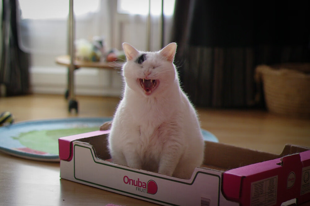 天津泰达客场负于对手，陷入低迷，天津泰达俱乐部最新消息