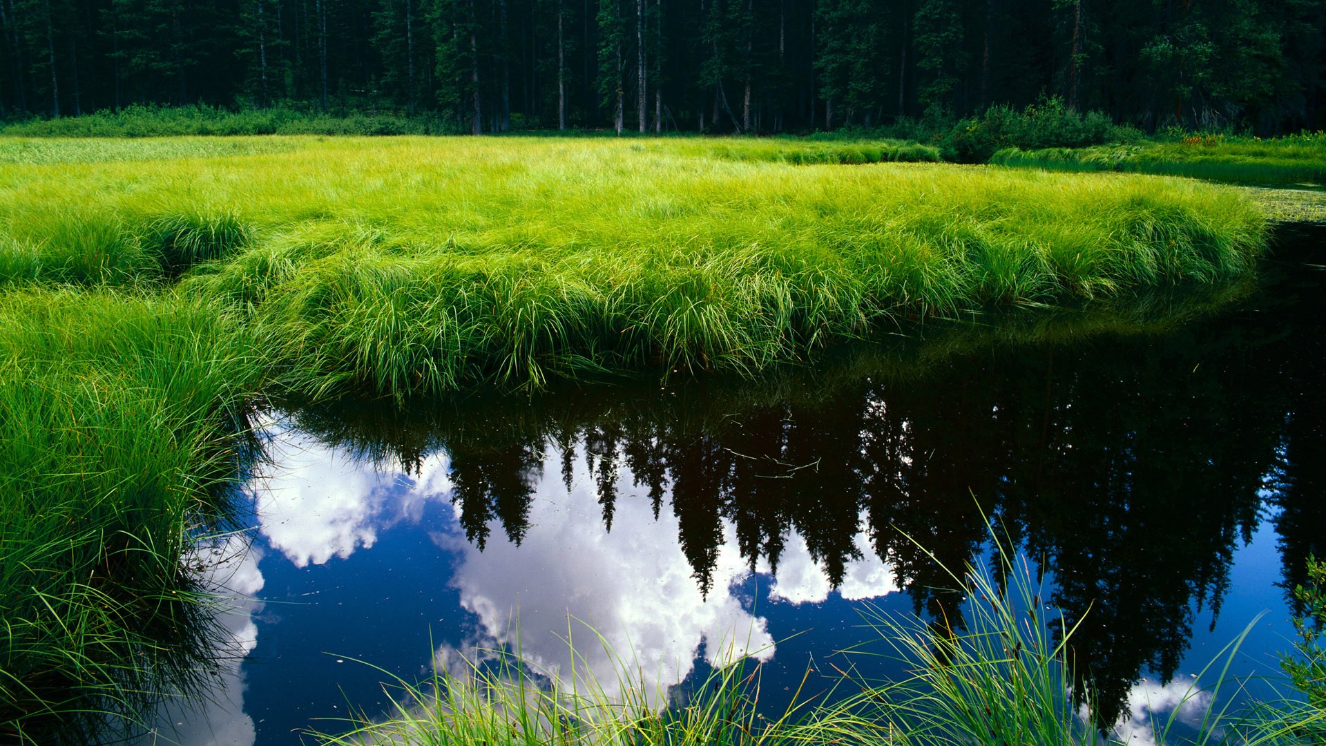 开云首页登录-山东队争夺主场胜利，战胜上海队，山东对阵