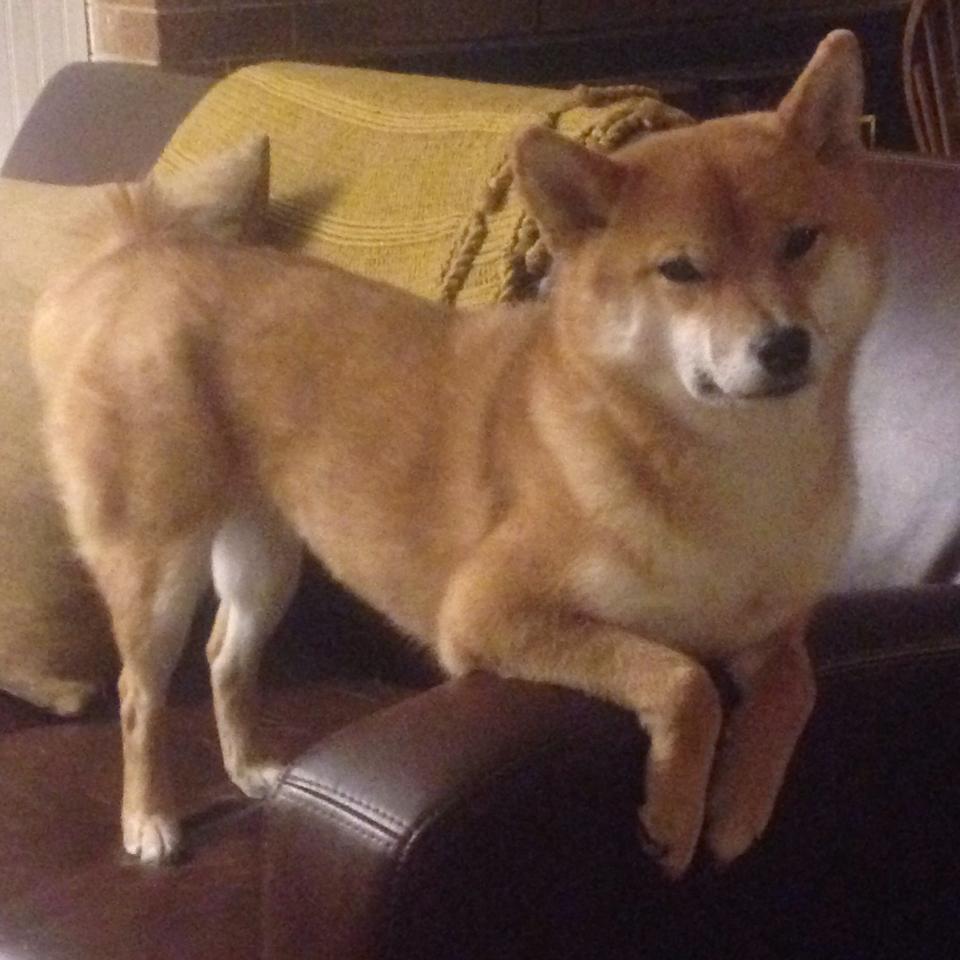 kaiyun中国官方网站-曼城大胜一仗，四强之途漫漫金光灿烂，曼城4-3