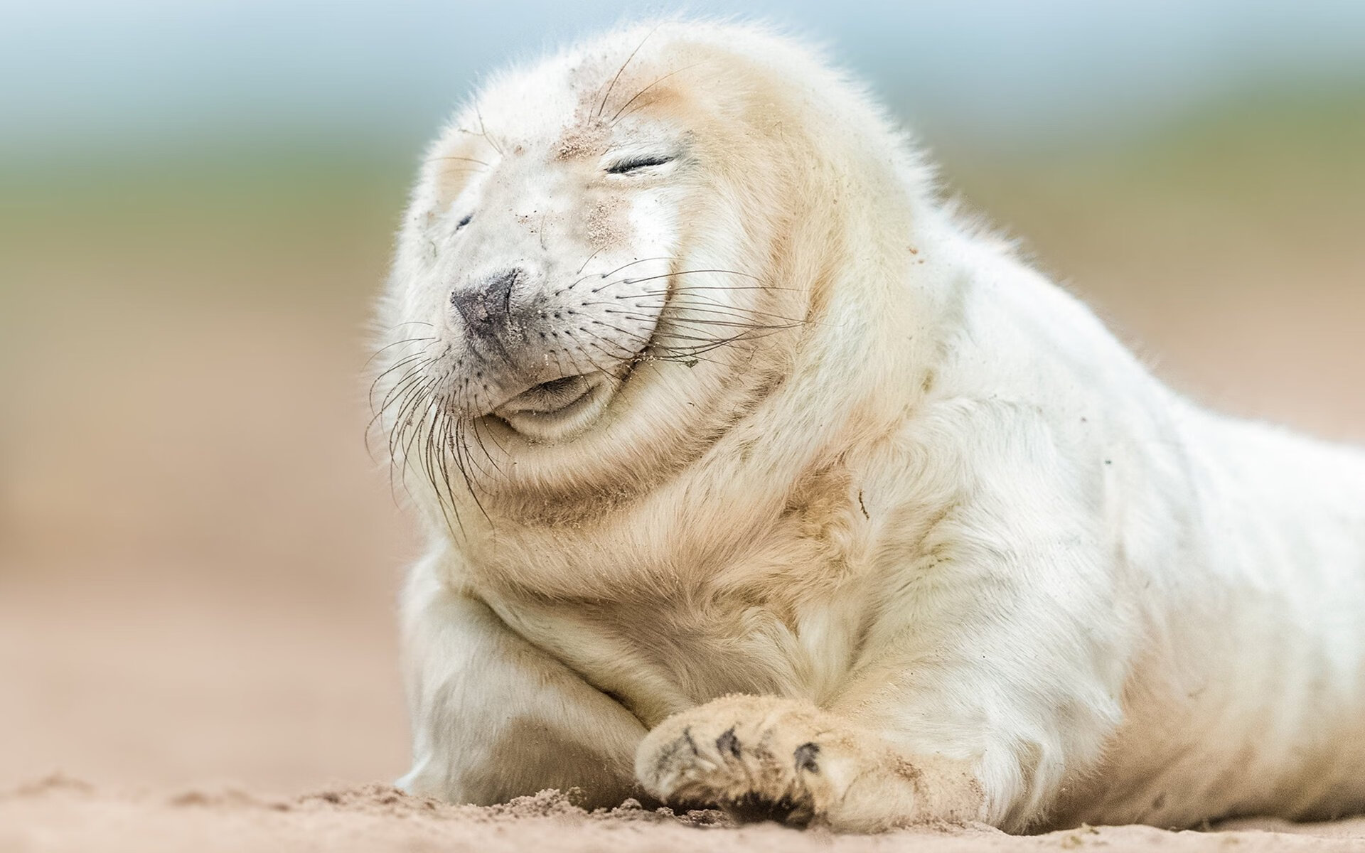 海南海口主场惨败,积分榜降至倒数第二位置,海南海口足球俱乐部