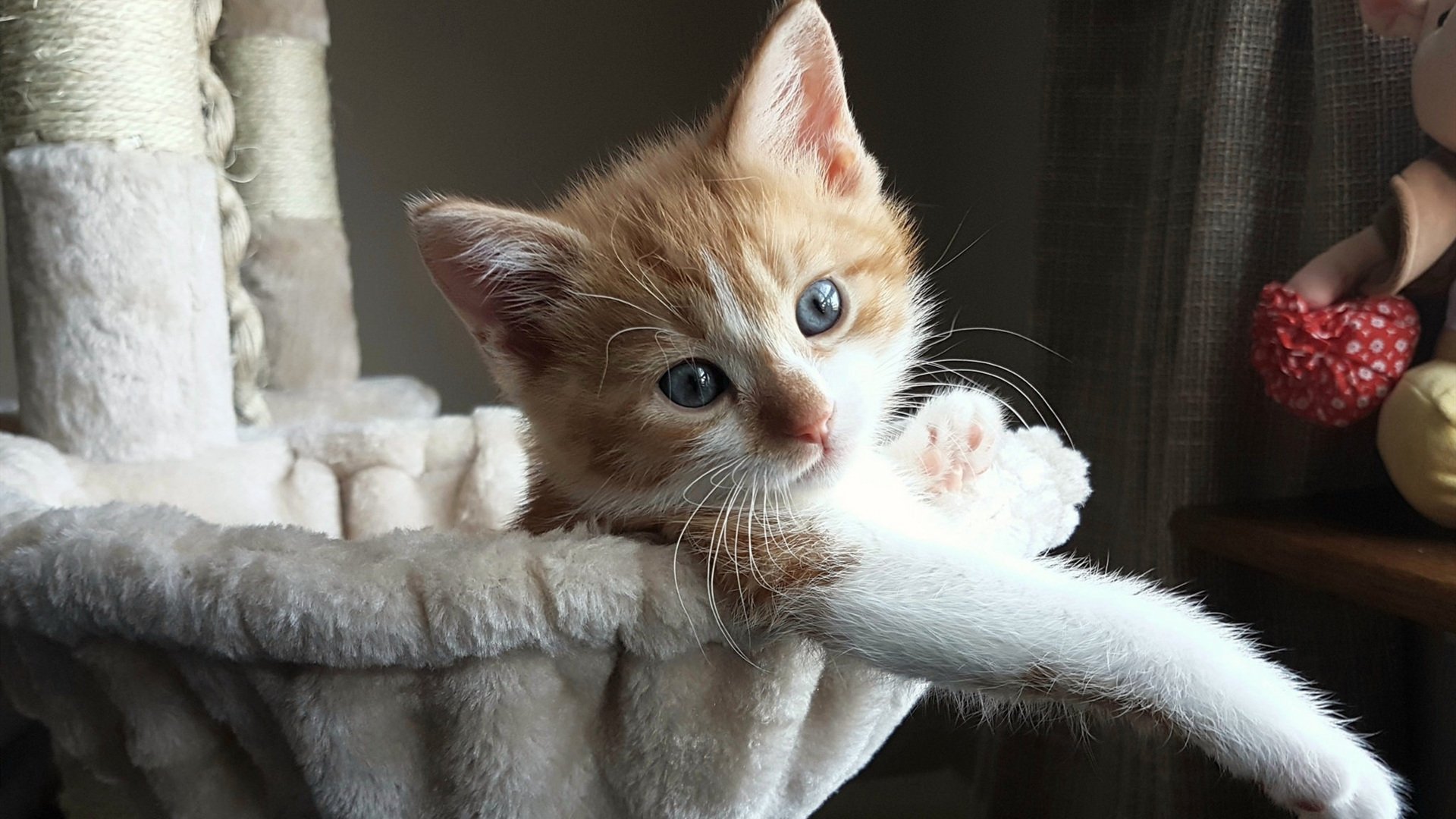 顶尖足球比赛中球员防守拦截精准，足球 防守