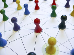 KAIYUN 中国大陆-中国篮球教练员专业能力提升路径，篮球教练员的专业技能包括哪些方面