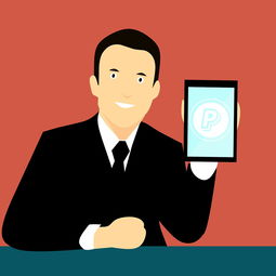 kaiyun 开云体育-中国篮球联赛品牌建设策略与粉丝经济发展研究，中国国内的篮球联赛简称