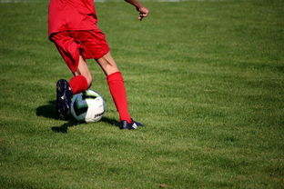 开云体育视频直播-英超青训体系中情绪调节训练对青少年比赛焦虑的控制作用，英超青训球员定义