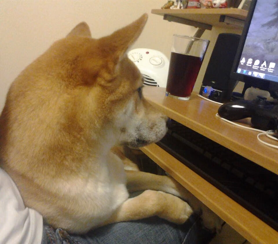 CBA赛事奖金提升 鼓励球员表现，cba球队奖金