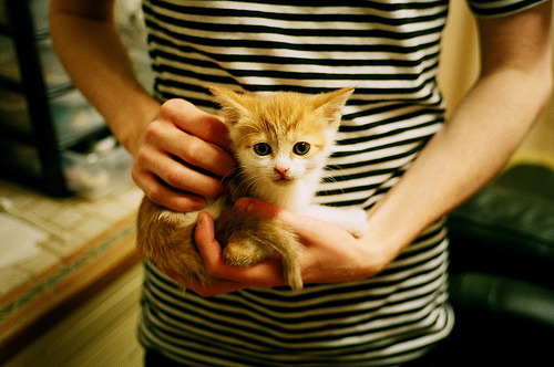 kaiyun体育综合-中国女篮注重比赛录像分析 提升技战术意识，看中国女篮篮球赛