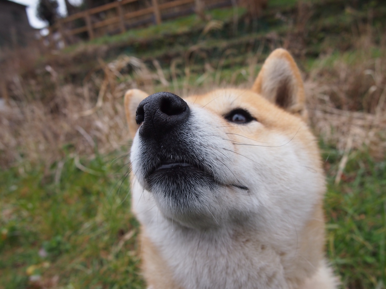 开云在线直播-中国男篮提升防守强度，中国男篮面临一个可怕的对手