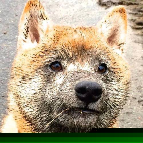 开云-马拉松赛事人文关怀深入人心，马拉松公文