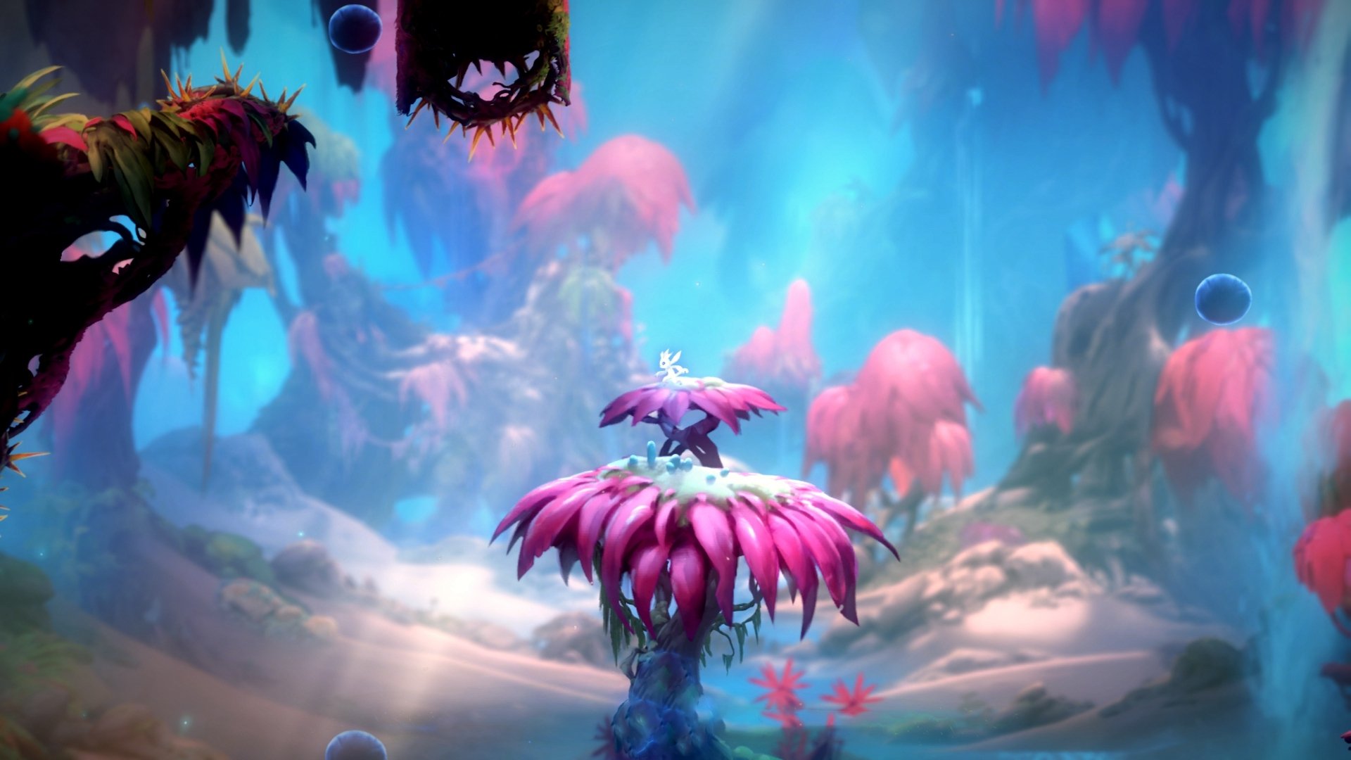 南极洲首次参加国际足球友谊赛，体育合作迈出新步伐，南极洲赛区