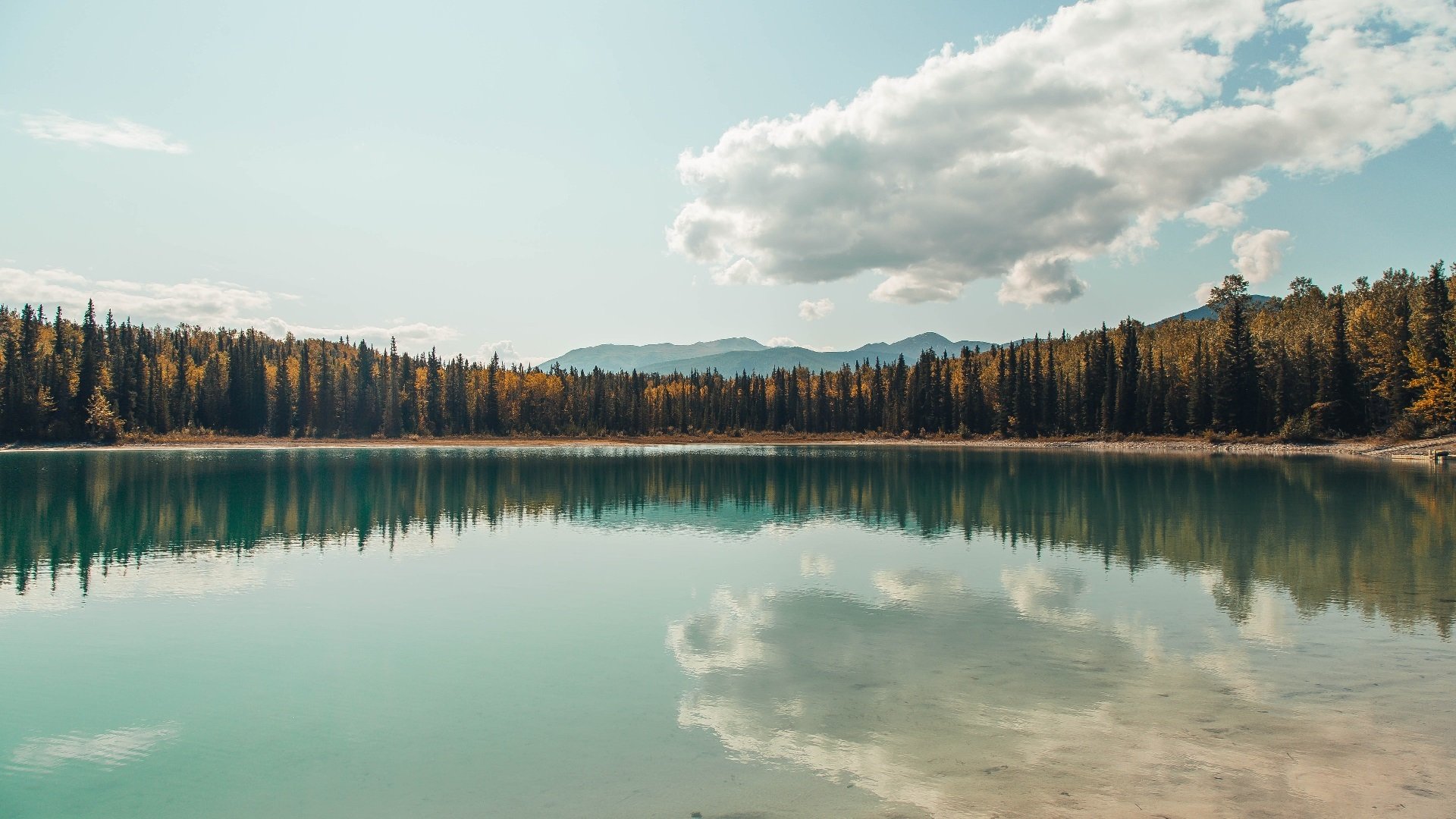 意甲联赛的数字化基础设施升级,意甲 数据