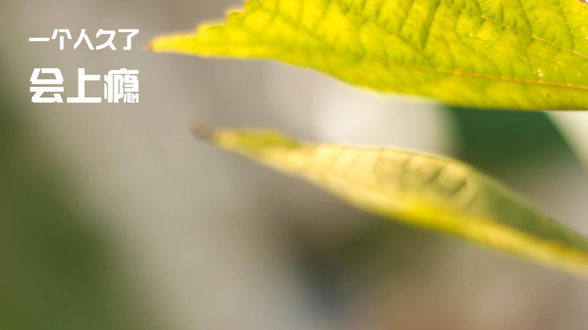 开云官网登录-跳水稳定发挥比利时步入决赛圈，跳水比分怎么算的