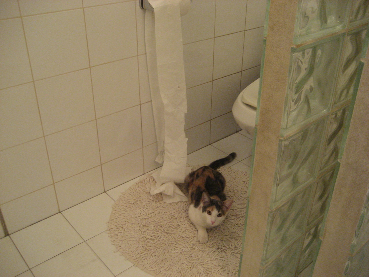 开云官方网站-达里尔·基：每一次防守的成功，让全黑队在场上占据了主导地位