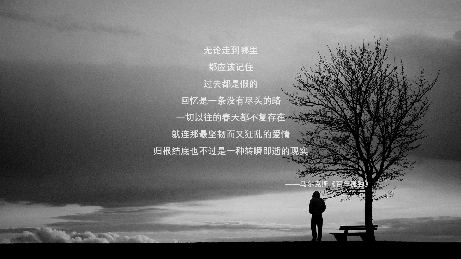 马克·阿特金森:南非队的突破大师,以速度主宰比赛,马克·阿特金斯